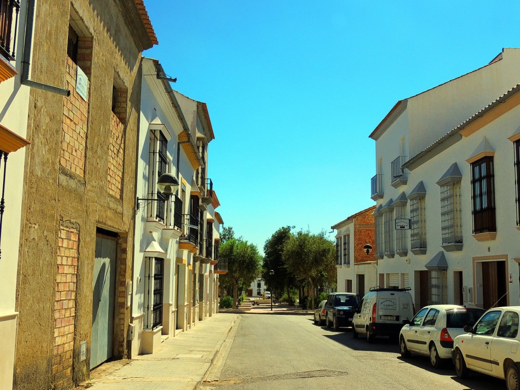 Foto: Calle Rector Frco. Maldonado - Osuna (Sevilla), España