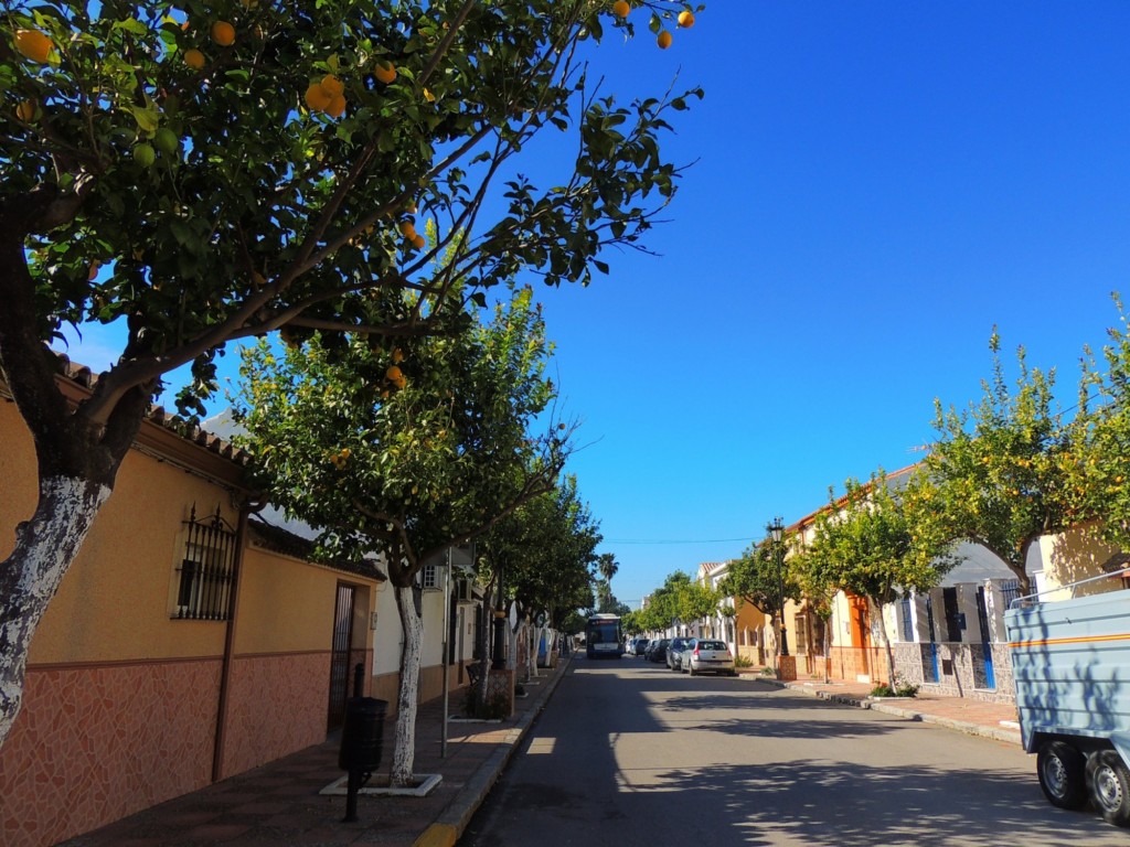 Foto: Calle Real - Nueva Jarilla (Cádiz), España
