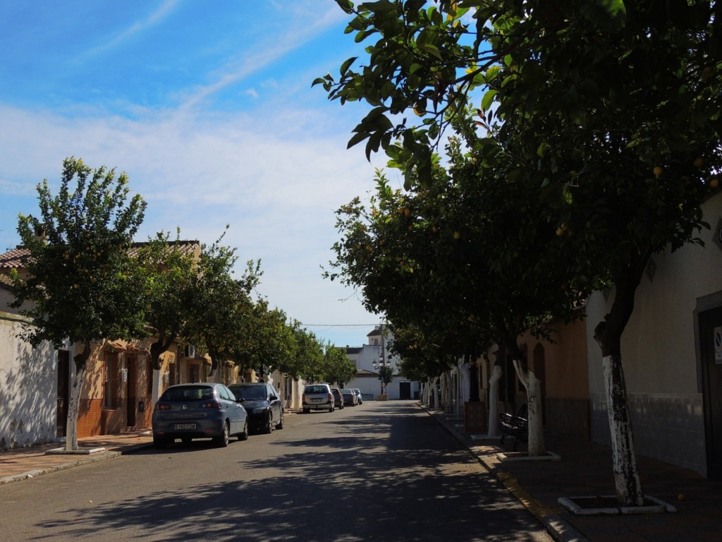 Foto: Calle Real - Nueva Jarilla (Cádiz), España