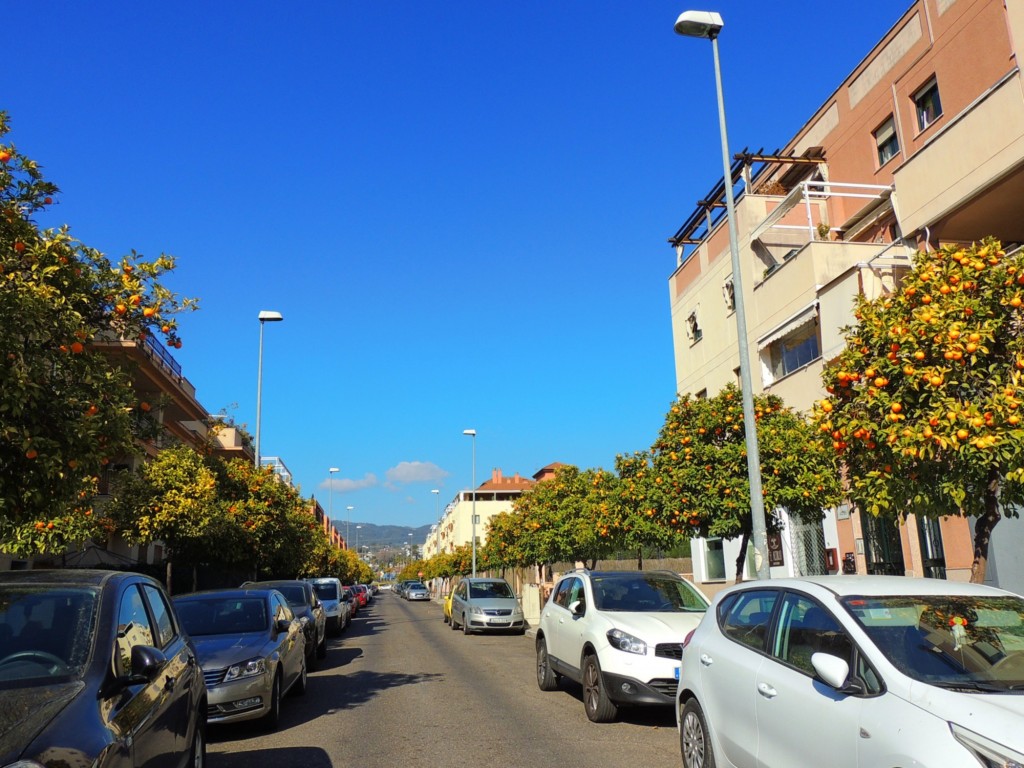Foto: Calle Rigoberta Menchú - Córdoba (Andalucía), España