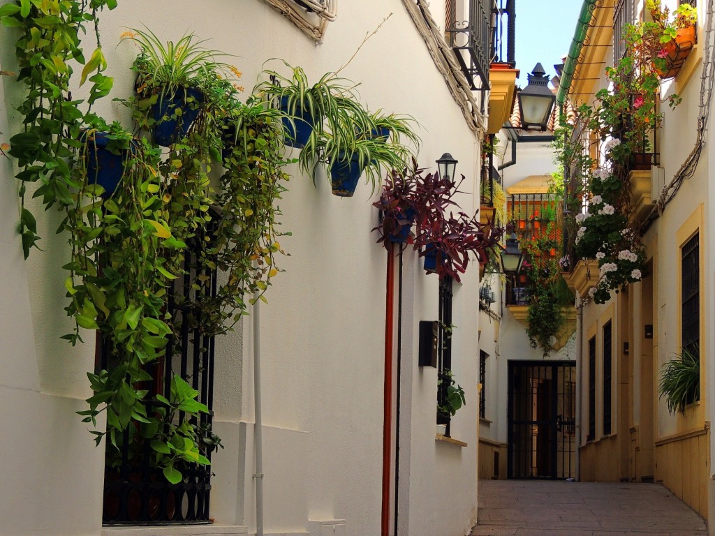 Foto: Calle Ricardo de Montis - Córdoba (Andalucía), España