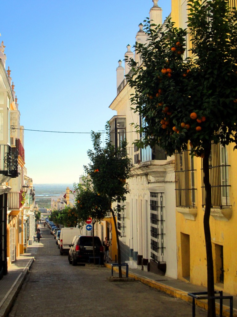 Foto: Calle López de Vega - San Fernando (Cádiz), España
