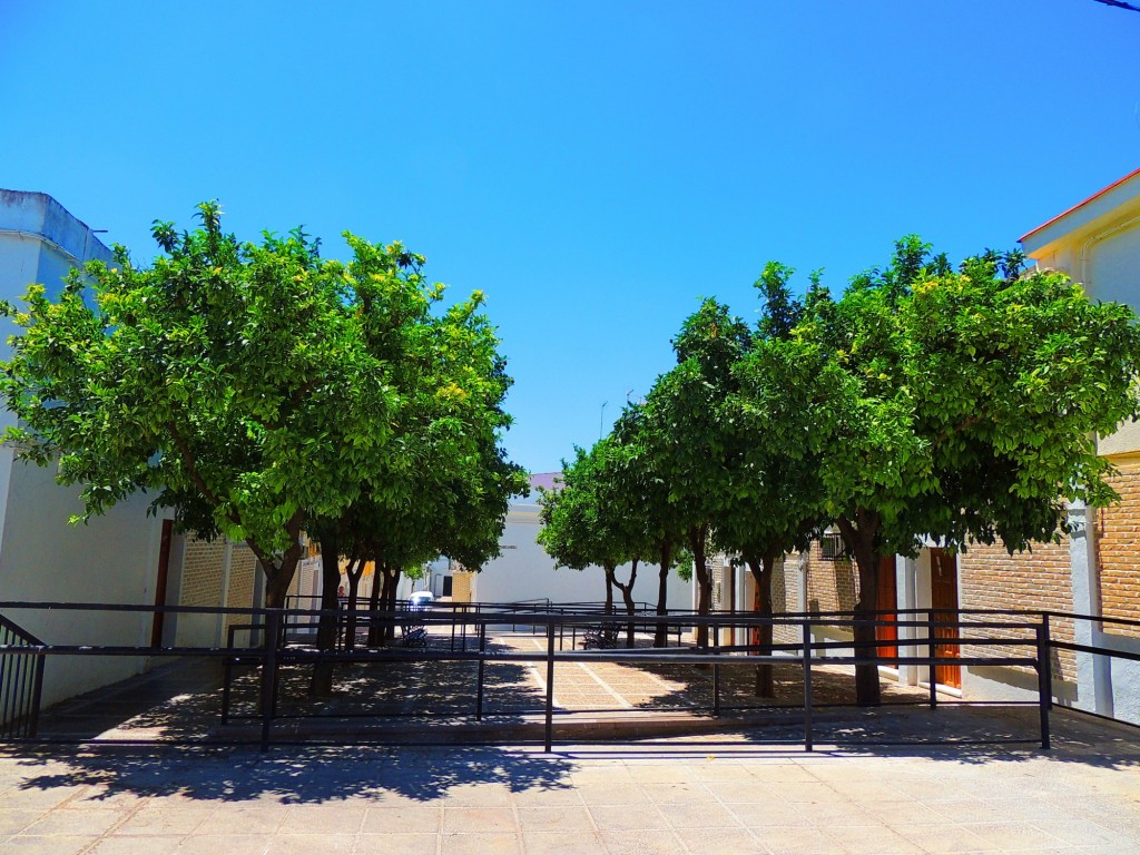 Foto: Calle Maestro Nicanor Morillo - Osuna (Sevilla), España
