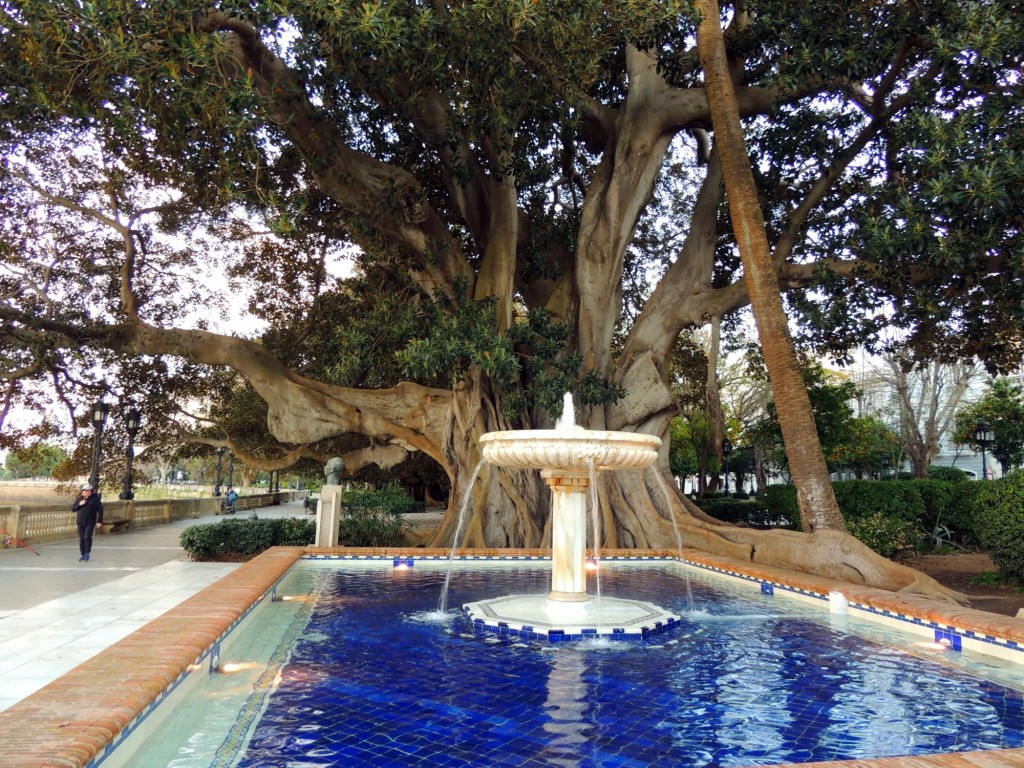 Foto: Un paseo por la alameda - Cádiz (Andalucía), España