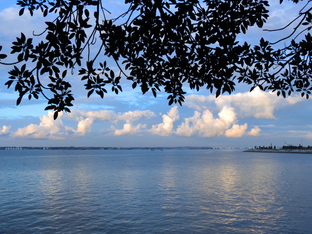 Foto: Un paseo por la alameda - Cádiz (Andalucía), España