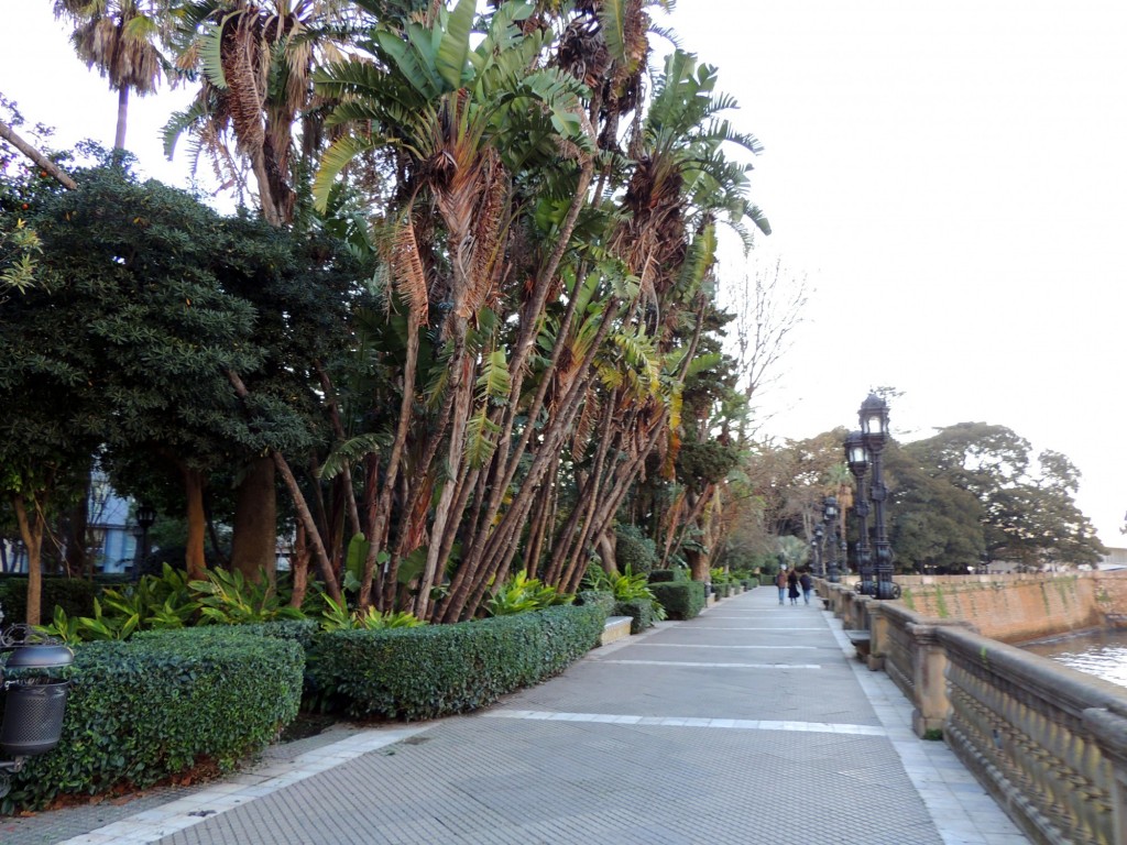 Foto: Un paseo por la alameda - Cádiz (Andalucía), España