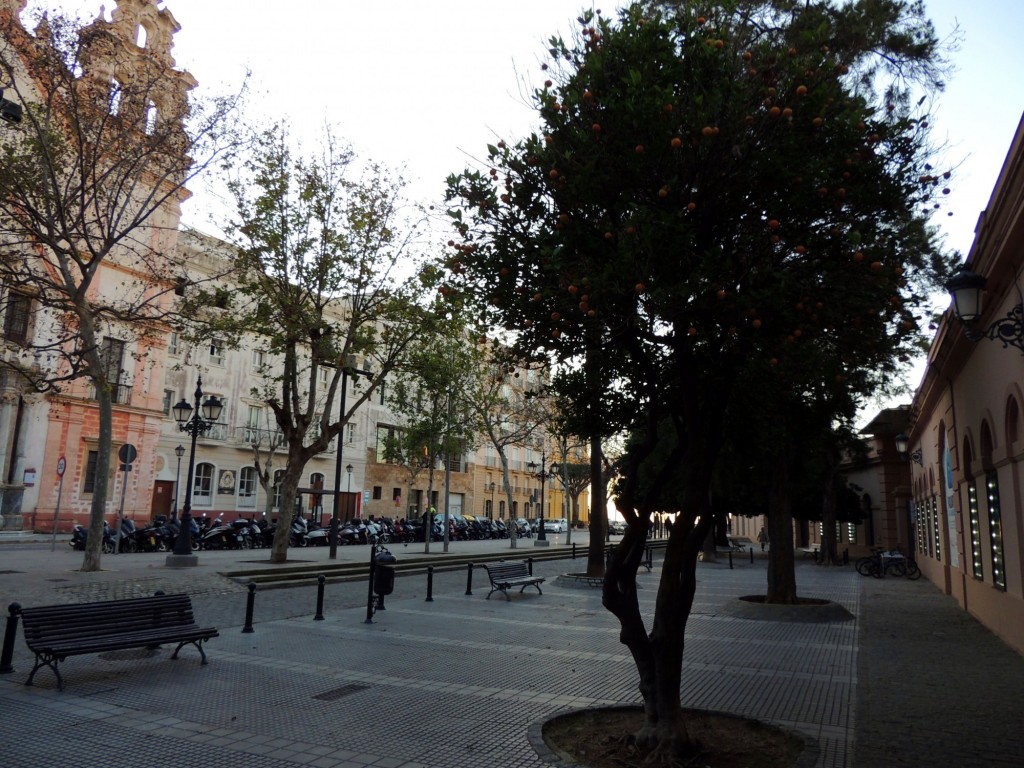 Foto: Un paseo por la alameda - Cádiz (Andalucía), España