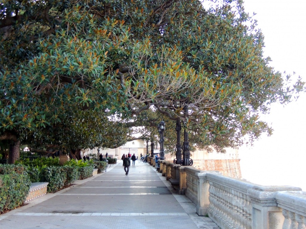 Foto: Un paseo por la alameda - Cádiz (Andalucía), España