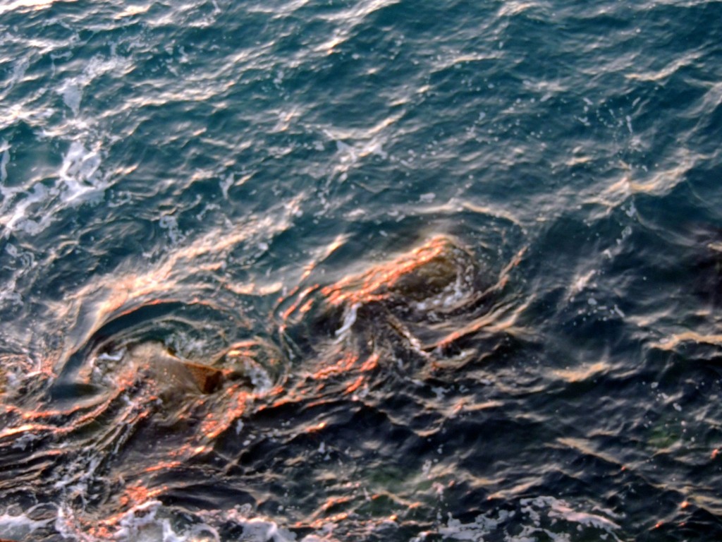 Foto: Un paseo por la alameda - Cádiz (Andalucía), España