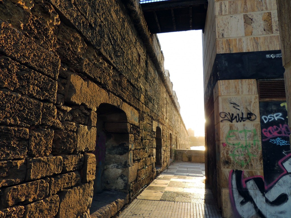 Foto: Un paseo por la alameda - Cádiz (Andalucía), España