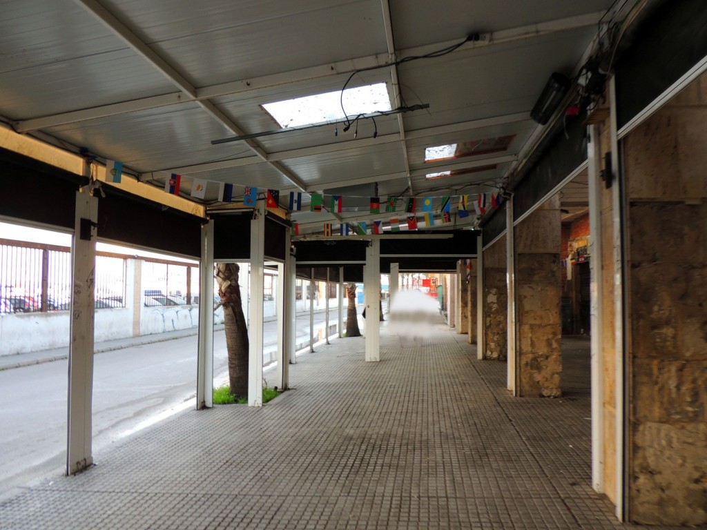 Foto: Un paseo por la alameda - Cádiz (Andalucía), España