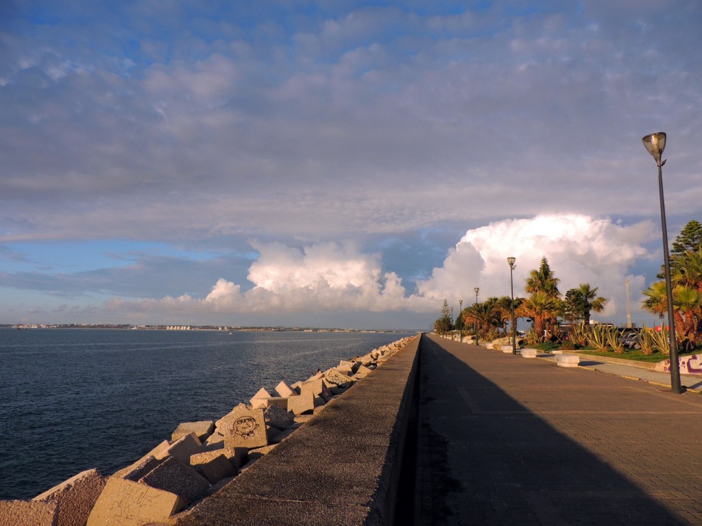 Foto: Un paseo por la alameda - Cádiz (Andalucía), España