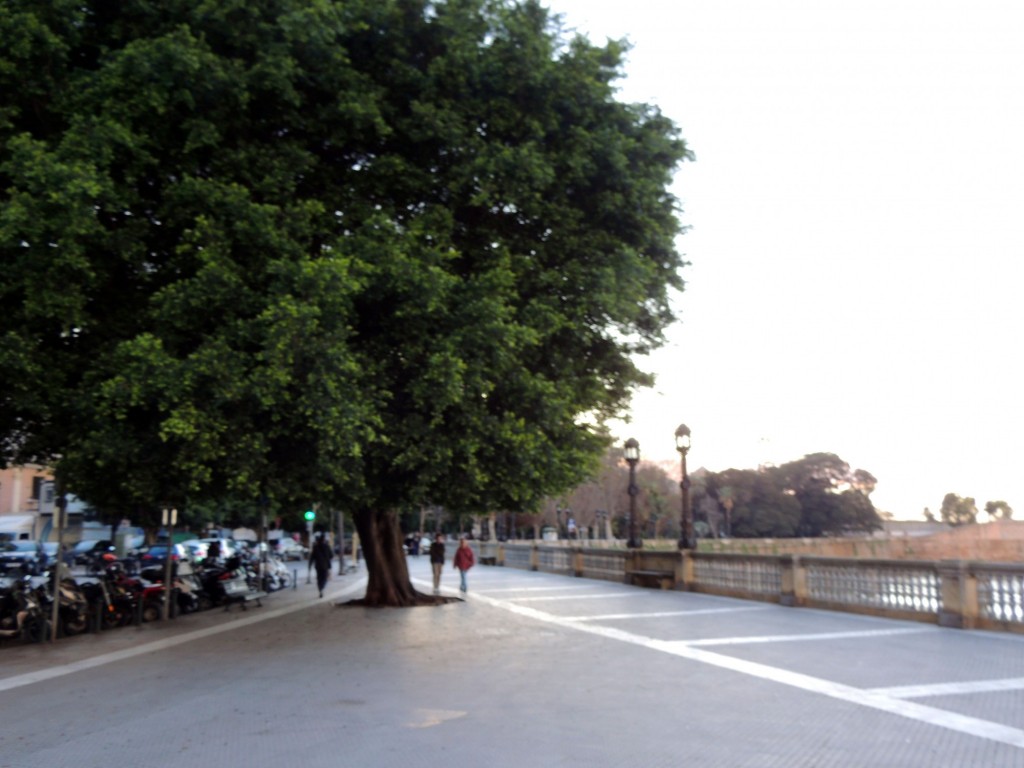 Foto: Un paseo por la alameda - Cádiz (Andalucía), España