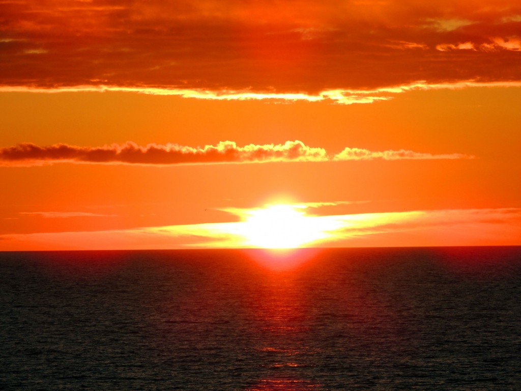 Foto: Un paseo por la alameda - Cádiz (Andalucía), España