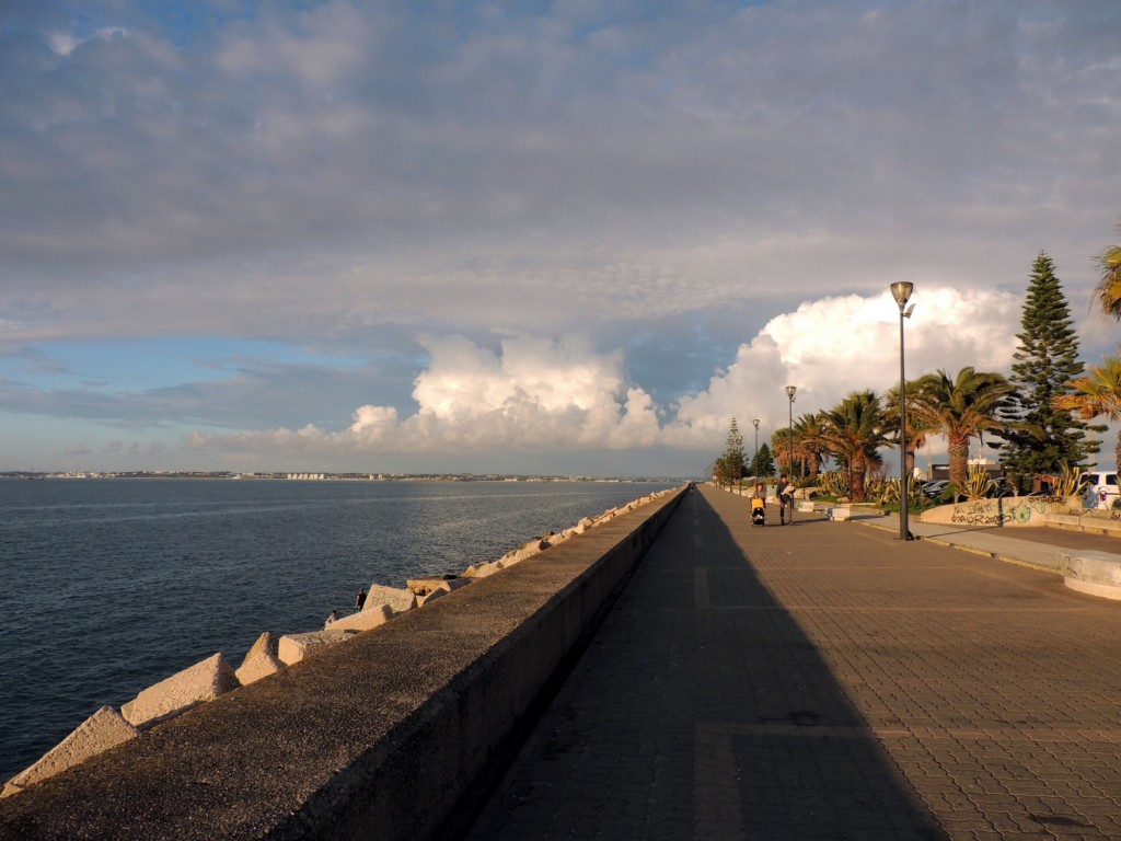 Foto: Un paseo por la alameda - Cádiz (Andalucía), España