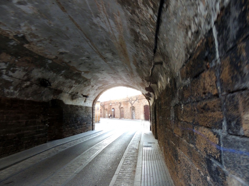 Foto: Un paseo por la alameda - Cádiz (Andalucía), España