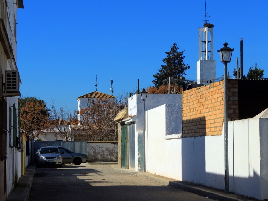 Foto: Calle Rosa - Nueva Jarilla (Cádiz), España