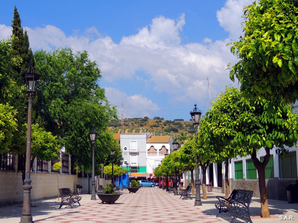 Foto: Calle Vicente Alexandre - Alcalá del Valle (Cádiz), España