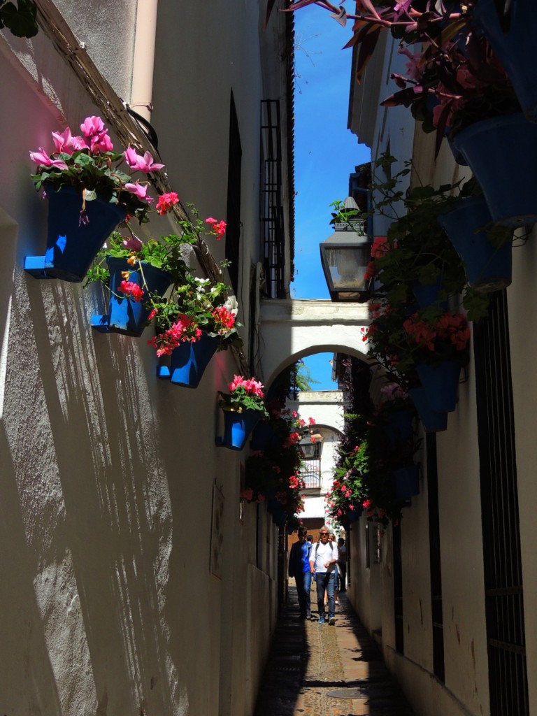 Foto: Calleja de las Flores - Córdoba (Andalucía), España