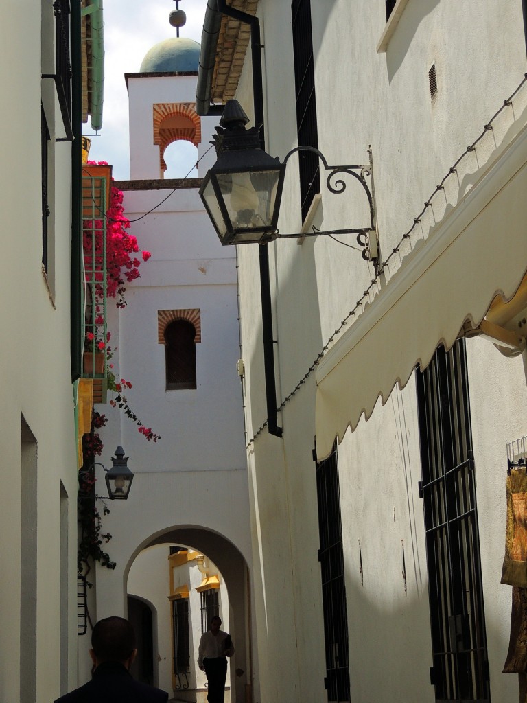 Foto: Calleja de la Hoguera - Córdoba (Andalucía), España