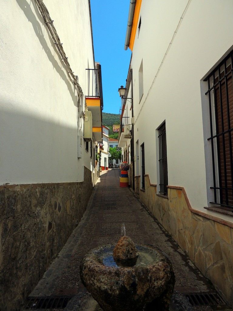 Foto: Callejón de la Fragua - El Bosque (Cádiz), España