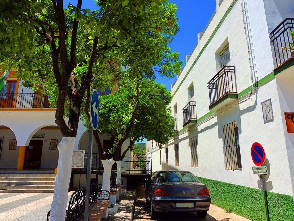 Foto: Callejón del Duque - El Bosque (Cádiz), España