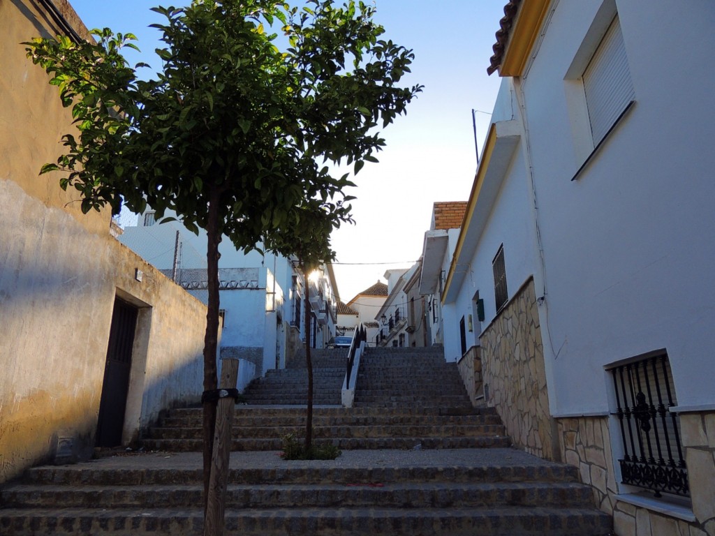 Foto: Callejón la Parrada - Paterna de la Rivera (Cádiz), España