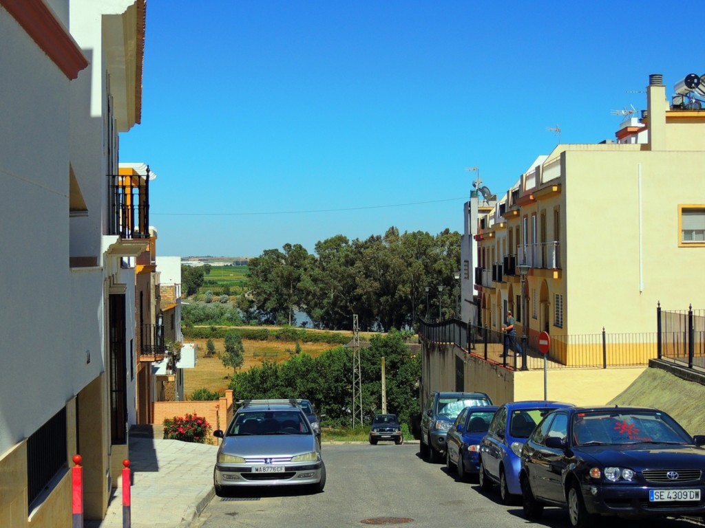 Foto: Camino Huerta de Arca - La Puebla del Río (Sevilla), España