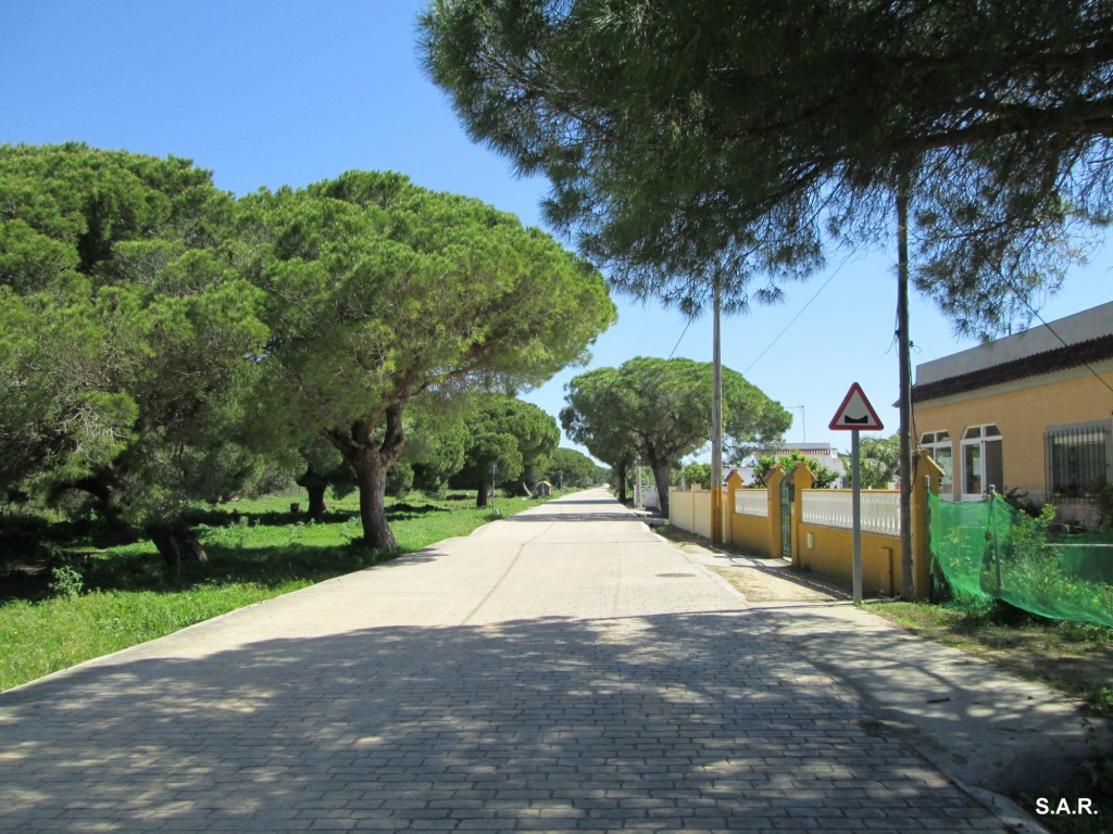 Foto: Camino de El Rosal - Barrio Jarana (Cádiz), España