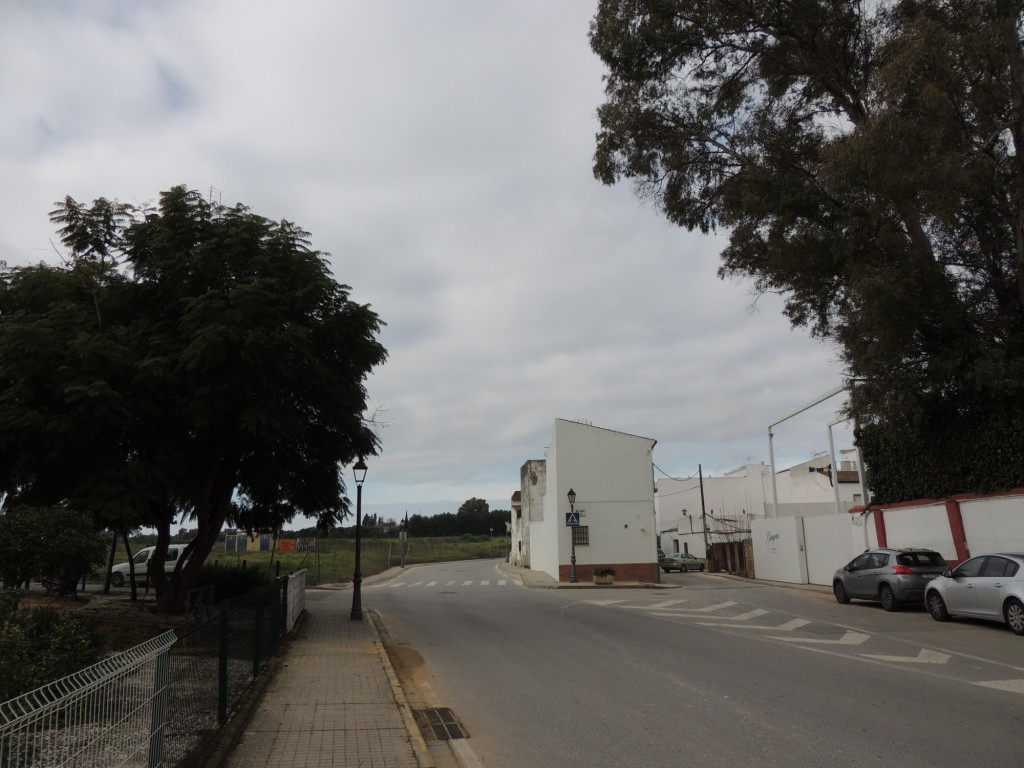 Foto: Camino del Loreto - Villanueva del Ariscal (Sevilla), España