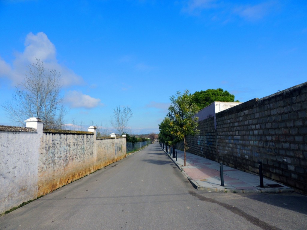 Foto: Hacia Estación Renfe - Villanueva del Ariscal (Sevilla), España