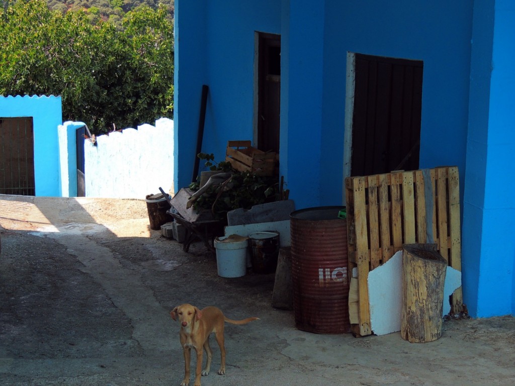 Foto: Pasaje El Corralón - Juzcar (Málaga), España