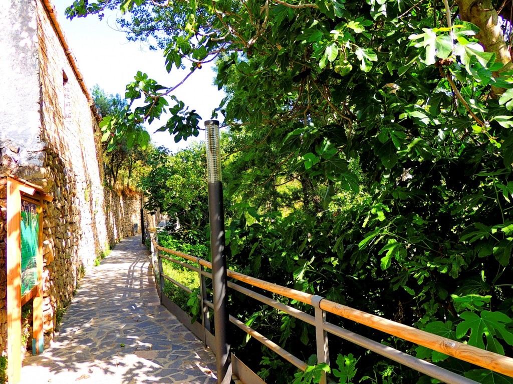 Foto: Paseo Acequia del Molino - El Burgo (Málaga), España