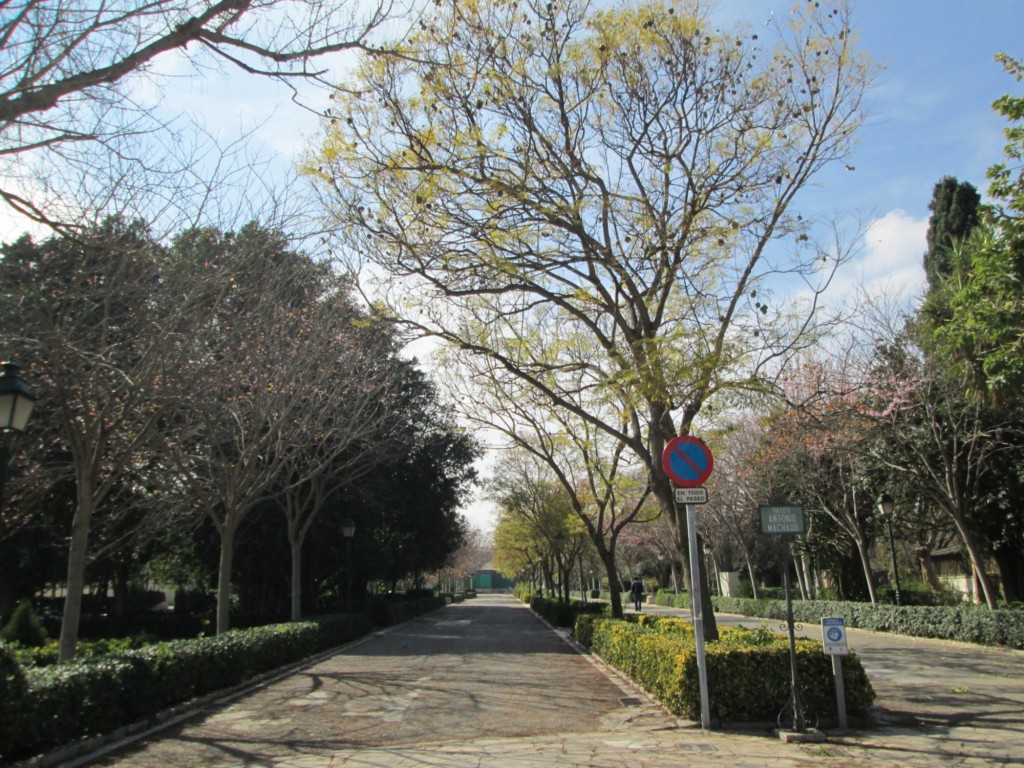 Foto: Paseo Antonio Machado - Valencia (València), España