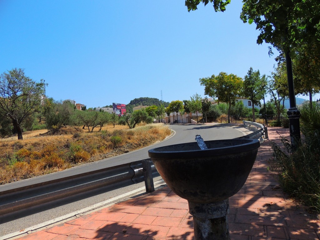 Foto: Paseo de entrada - Monda (Málaga), España
