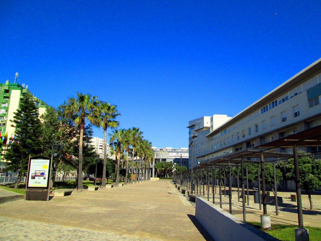 Foto: Paseo en José León de Carranza - Cadiz (Cádiz), España