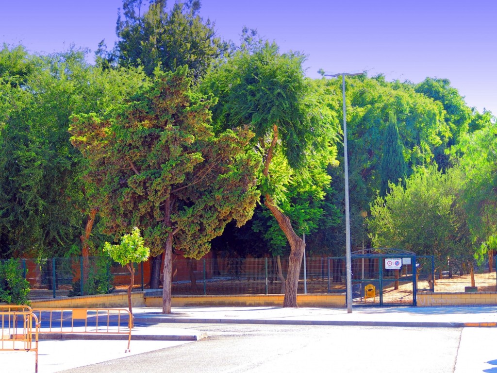 Foto: Paseo de los Estudiantes - Lebrija (Sevilla), España