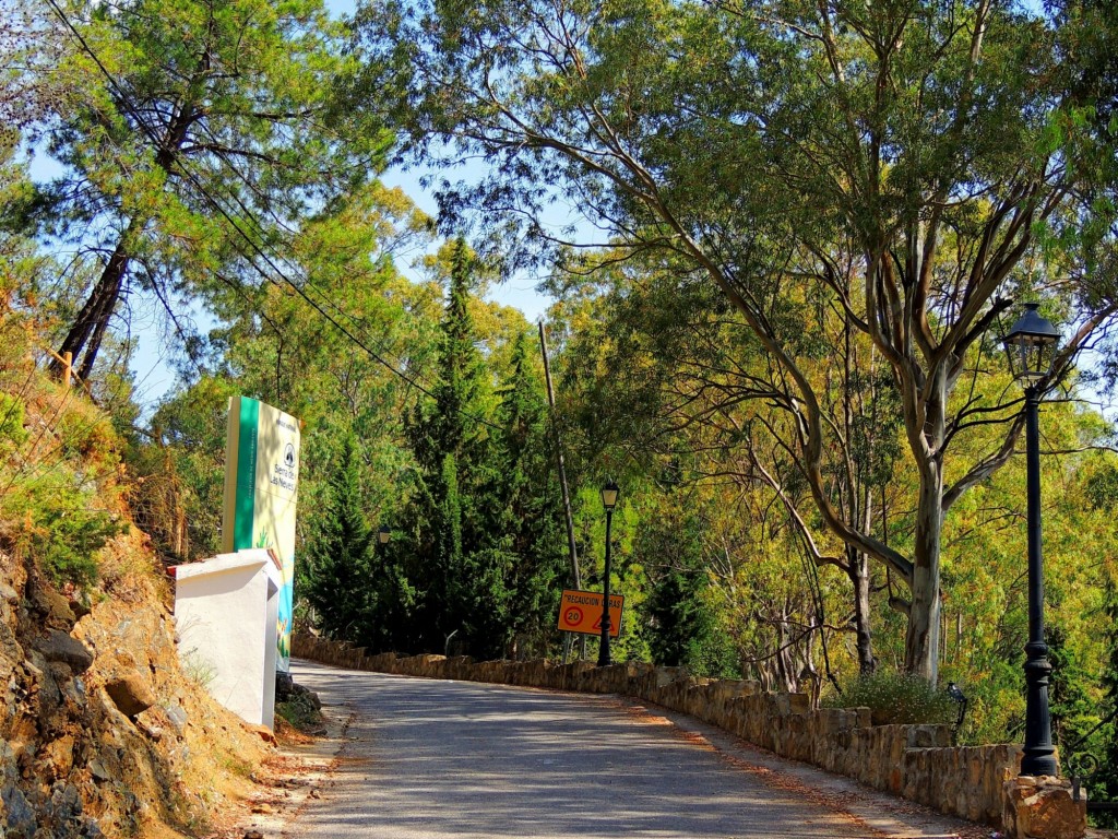 Foto: Paseo de los Árboles - Tolox (Málaga), España