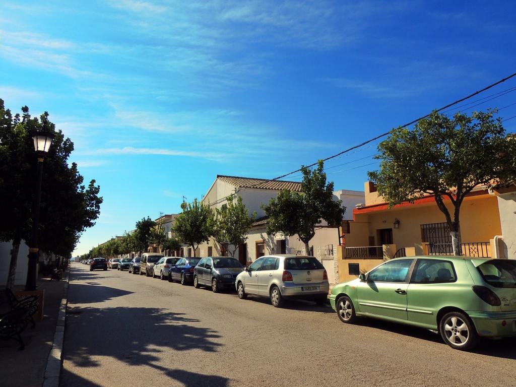 Foto: Ronda de Trobal - - Nueva Jarilla (Cádiz), España