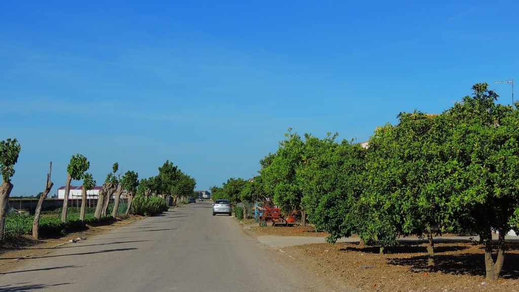 Foto: Ronda del Rocio - Trajano (Sevilla), España