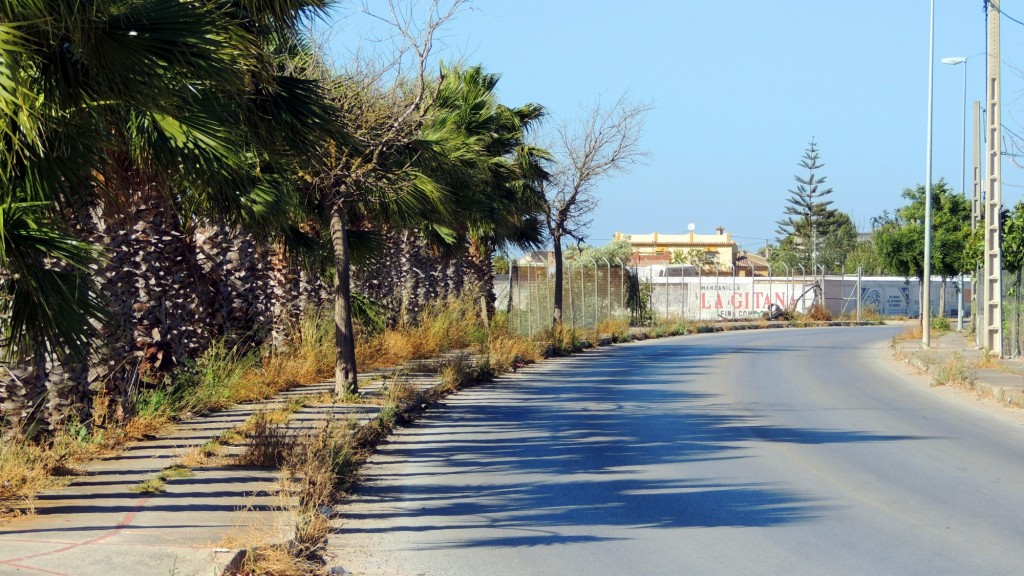 Foto: Paseo La Algaida - La Algaida (Cádiz), España