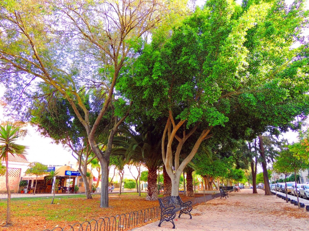 Foto: Paseo de las Carlotas - Sanlucar de Barrameda (Cádiz), España