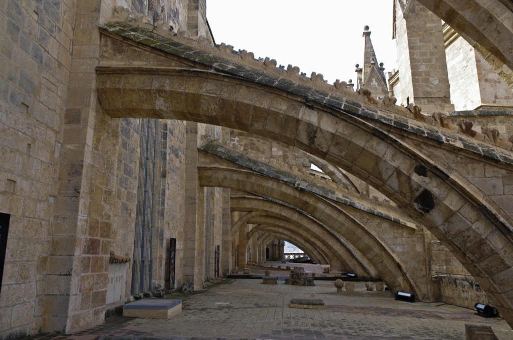 Foto: La terraza de la Catedral - Palma de Mallorca (Illes Balears), España