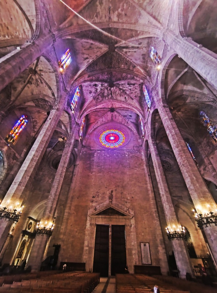 Foto: El roseton de la parte sur - Palma (Illes Balears), España