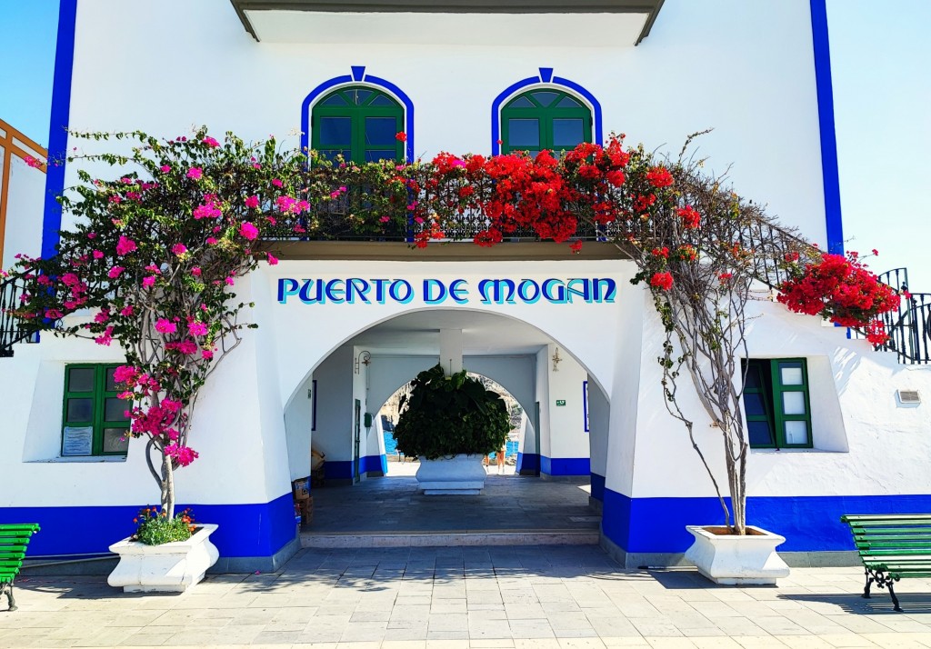Foto: Puerto de Mogán - Puerto de Mogán (Las Palmas), España