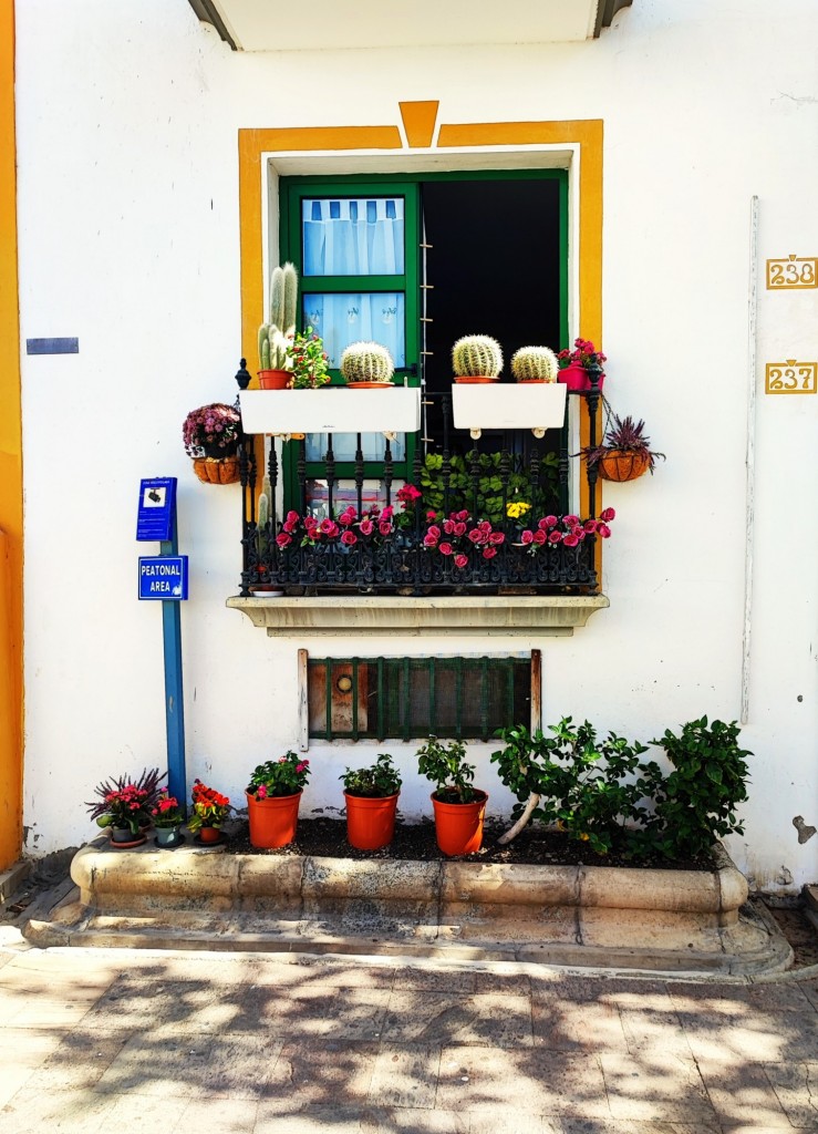 Foto: Puerto de Mogán - Puerto de Mogán (Las Palmas), España