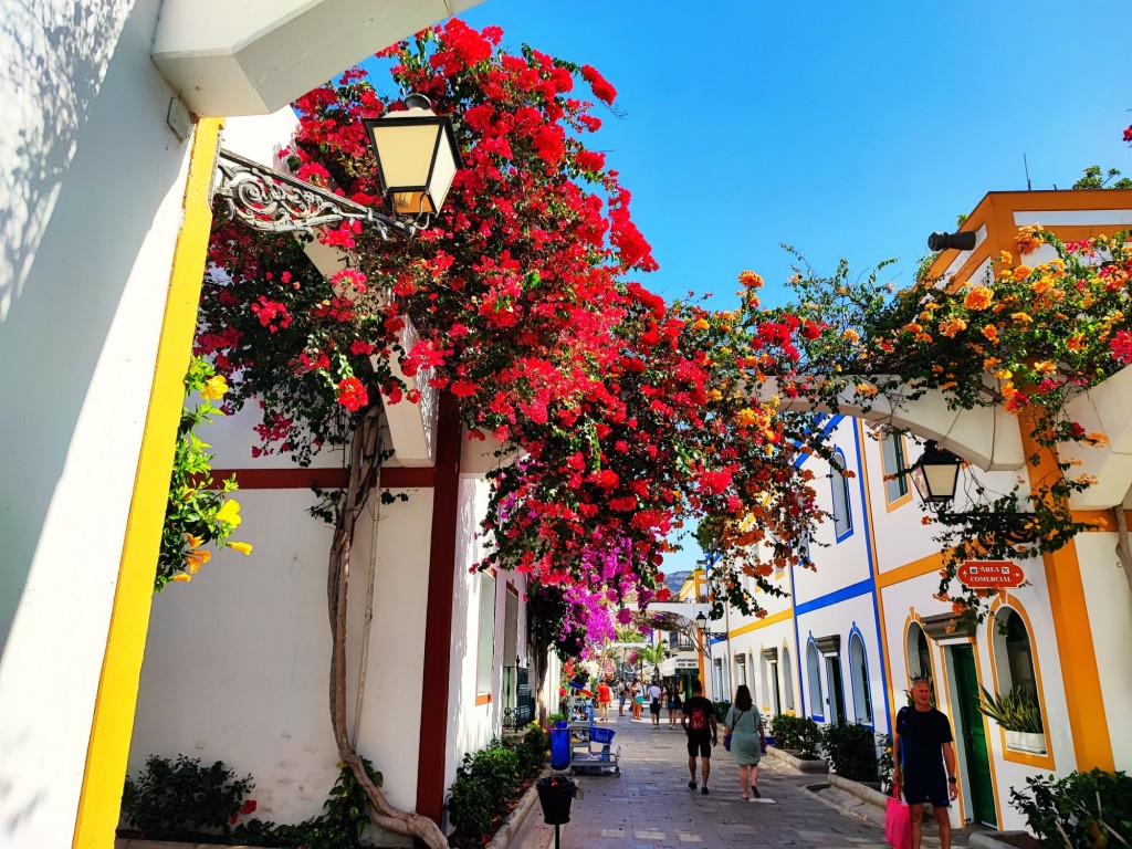 Foto: Puerto de Mogán - Puerto de Mogán (Las Palmas), España