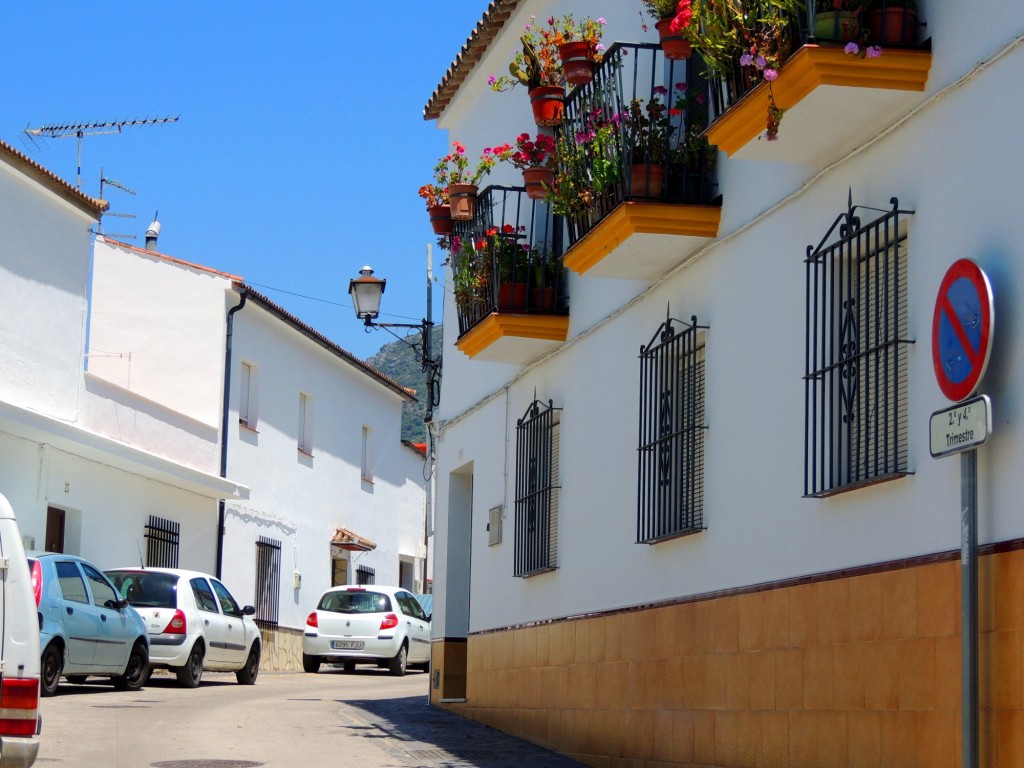 Foto: Calle Sevilla - El Bosque (Cádiz), España