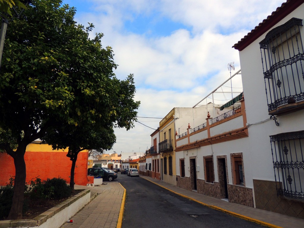 Foto: Calle Sevilla - Villanueva del Ariscal (Sevilla), España