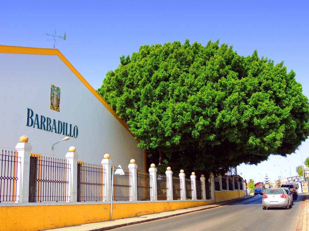 Foto: Calle Sevilla - Sanlucar de Barrameda (Cádiz), España